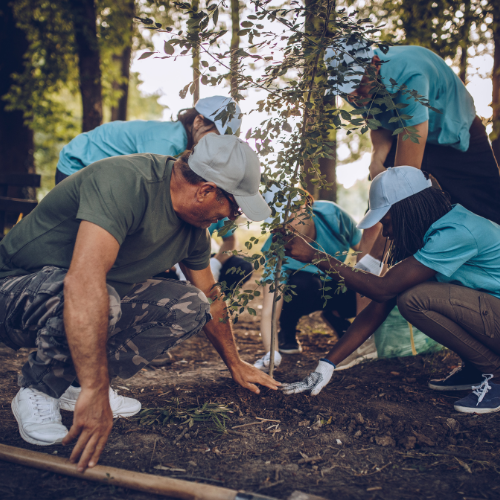 Forestry Management